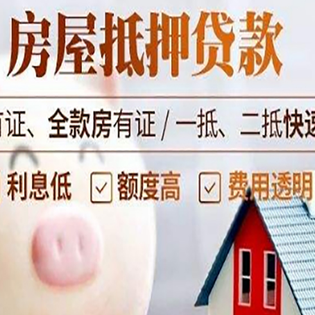 岷县贷款助贷公司新渝启服成立时间久